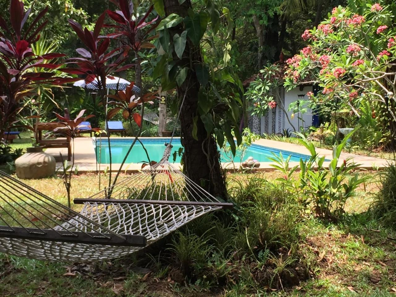The Secret Garden Goa *